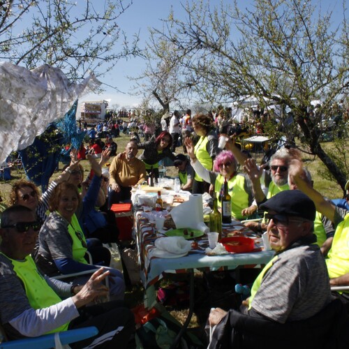 Almendro en flor 2026 (27)